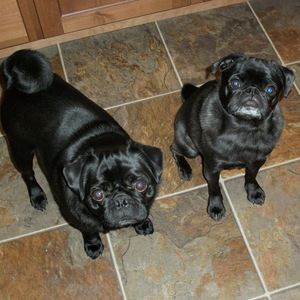 Meet your Posher, Jodi